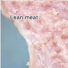 Ticari Elektrikli Et Dövücü Ma - Meat Tenderizer Machine Electric incelemesi ve fiyatı